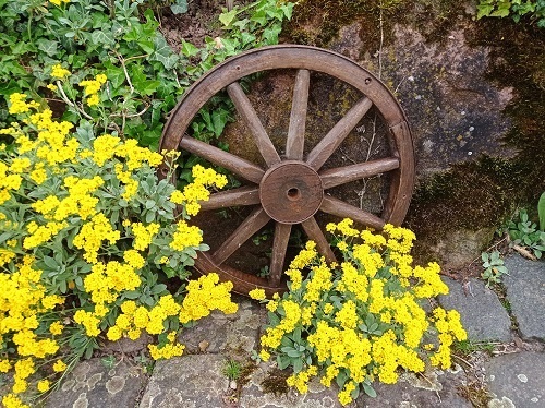 Bild von Lebensrad
