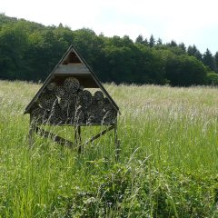 Reipoltskirchen Wanderweg Insektenhotel