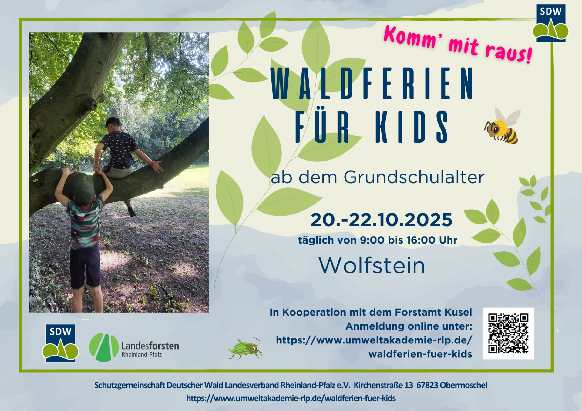 Kopie von Kopie von WaFe_neu_verschiedene - 5 Kopie von Kopie von WaFe_neu_verschiedene - 5